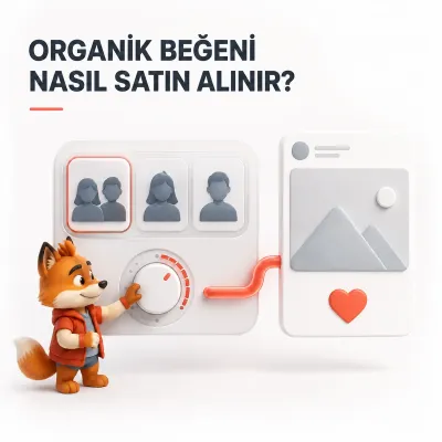 Üç profil türü ve miktar seçimini tek Instagram gönderisi hedefiyle birleştiren Wubi