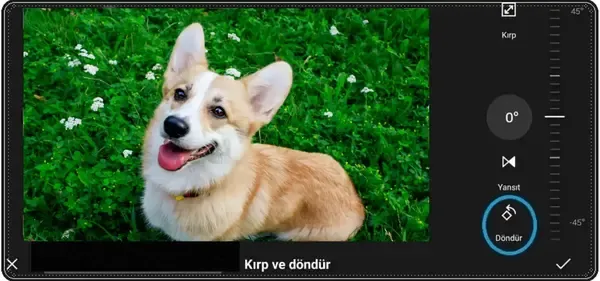 Yatay-fotografi-resmi-dikey-yapma-gorsel-anlatim-4